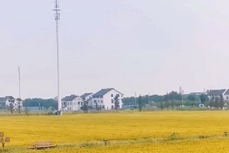100ֵĲ