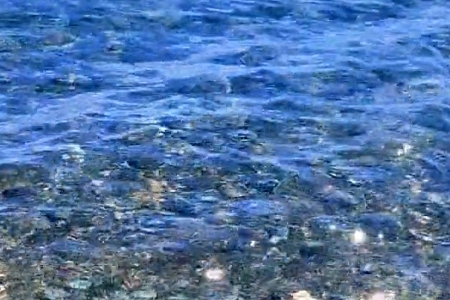 100ֵĺִȫ