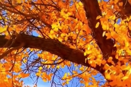 龚姓100分的好名字男孩 龚姓100分的好名字男孩