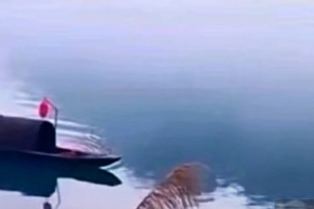 姓洪打分100分的名字 姓洪打分100分的名字