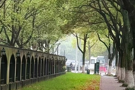 姓岳100分的好名字大全男孩 姓岳100分的好名字大全男孩