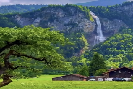 100分辛姓名字女孩 100分辛姓名字女孩