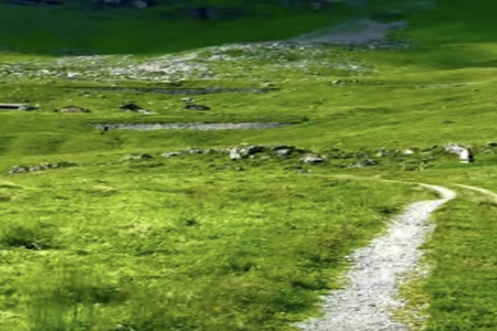 �к�Ϳ��ȡ��100�ֵ�����