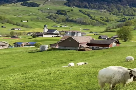 谷姓100分的好名字女孩 谷姓100分的好名字女孩