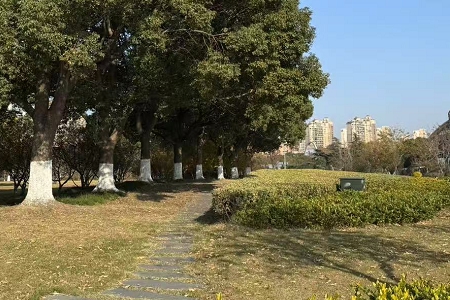 ���ո߷��к����ִ�ȫ