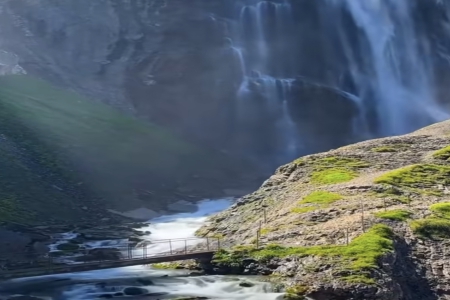 100����������Ů��