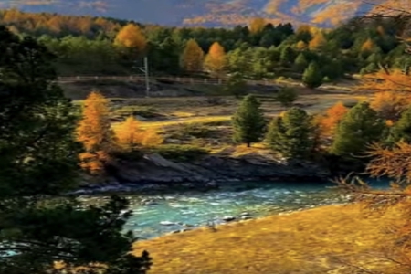 100�ֵ������к�����