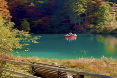 �ճɴ��100�ֵ�����