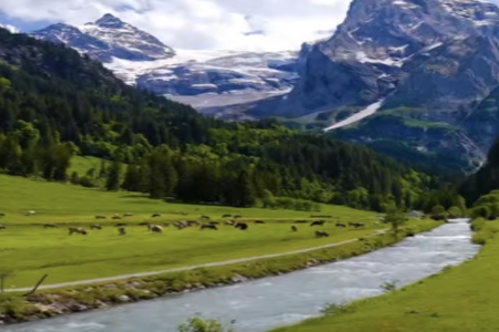 ����100�ֵĺ����ִ�ȫ�к�