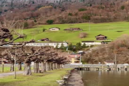 姓查100分的好名字大全女孩 姓查100分的好名字大全女孩