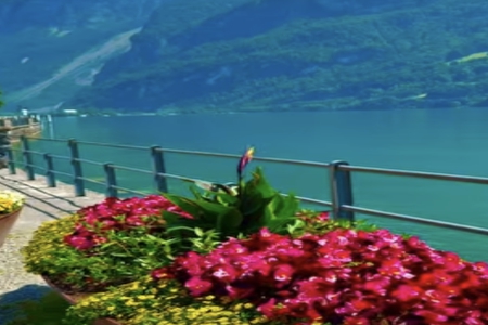 �հ�100�ֵĺ������к�