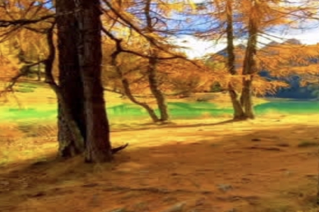 ���ո߷��к����ִ�ȫ