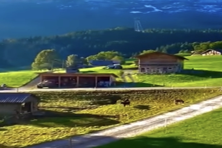 100分强姓名字女孩 100分强姓名字女孩