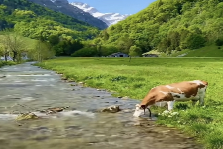 100分边姓名字女孩 100分边姓名字女孩