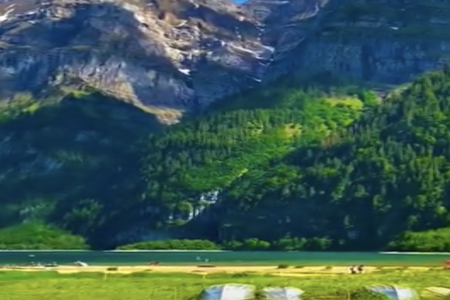 姓悲100分的好名字 姓悲100分的好名字