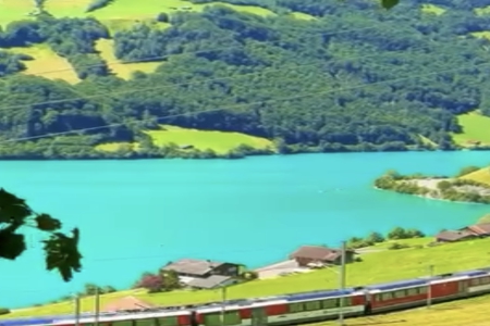 �ճ�100�ֵĺ�����