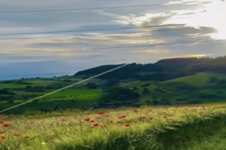 ١��100�ֵĺ����ִ�ȫŮ��