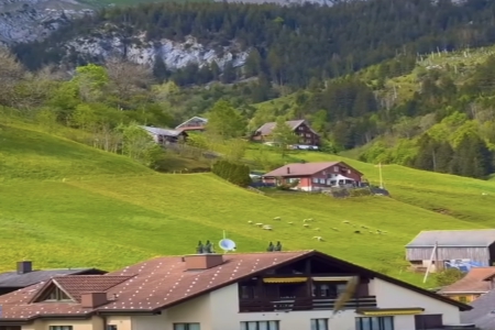 ����100�ֵĺ����ִ�ȫŮ��