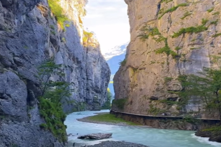 100分的卞姓名字 100分的卞姓名字